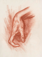 Human Hand 9 - Version 2